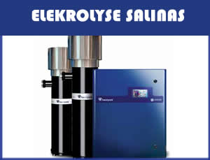 Electrolosis Salinas